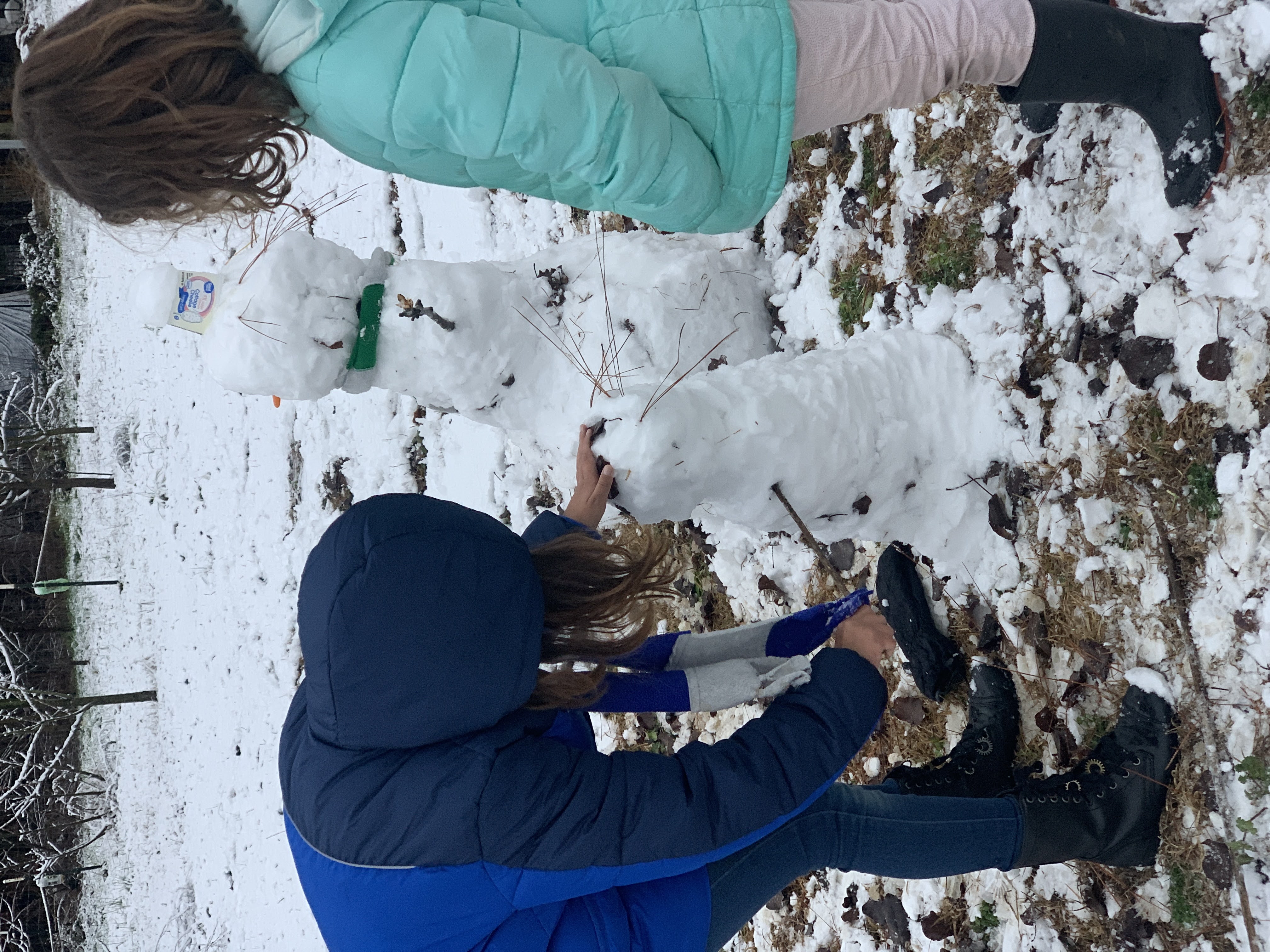 Snow Day